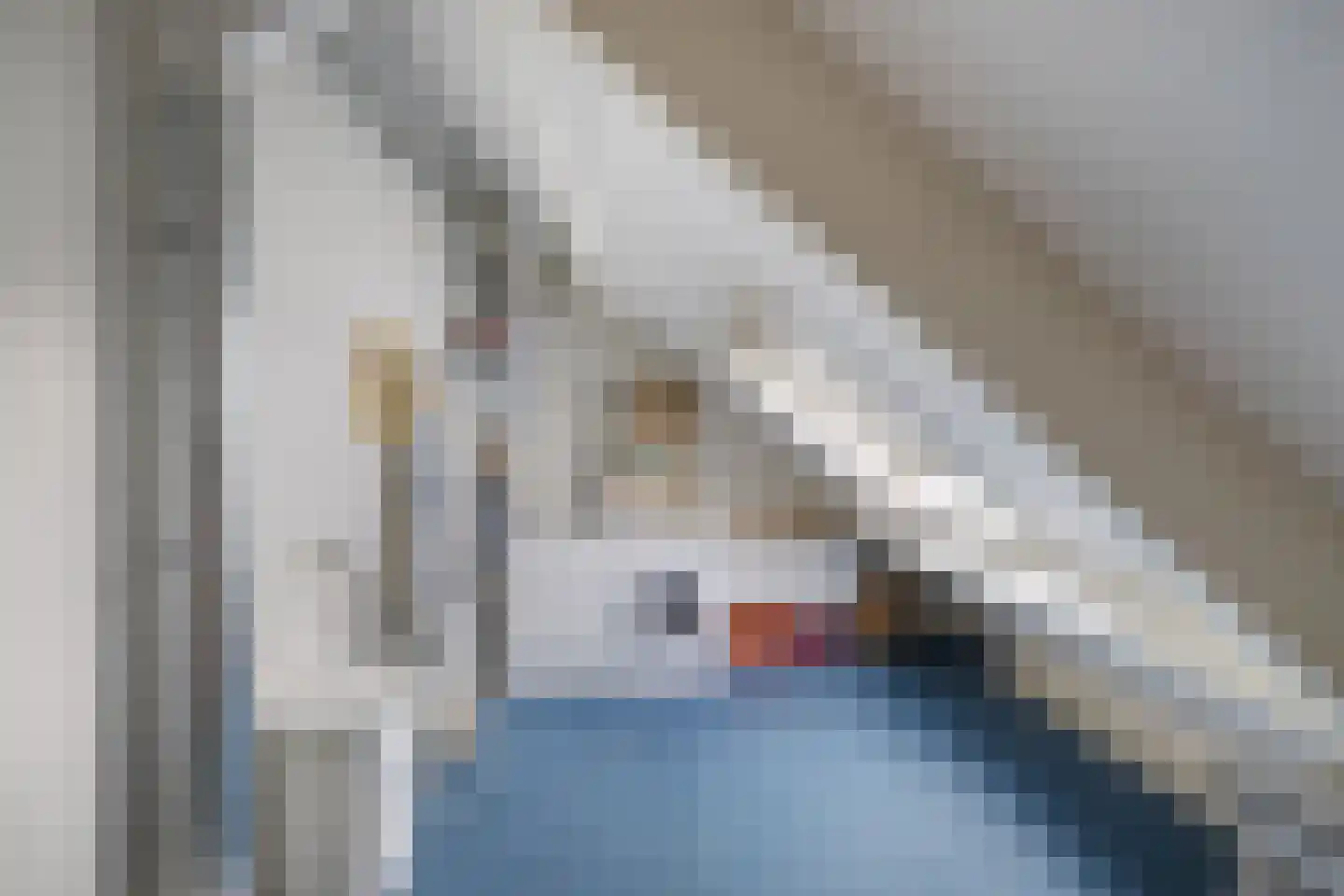 Rietpluim 8 Marknesse thumbnail 43