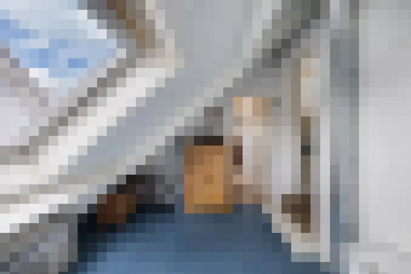 Rietpluim 8 Marknesse thumbnail 44