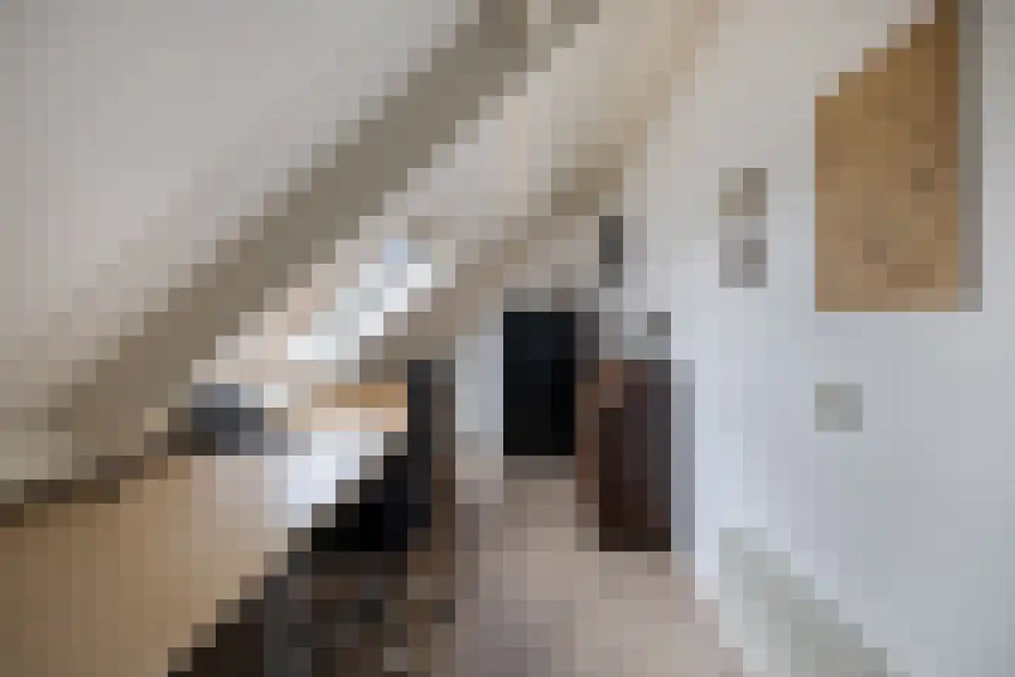 Rietpluim 8 Marknesse thumbnail 45