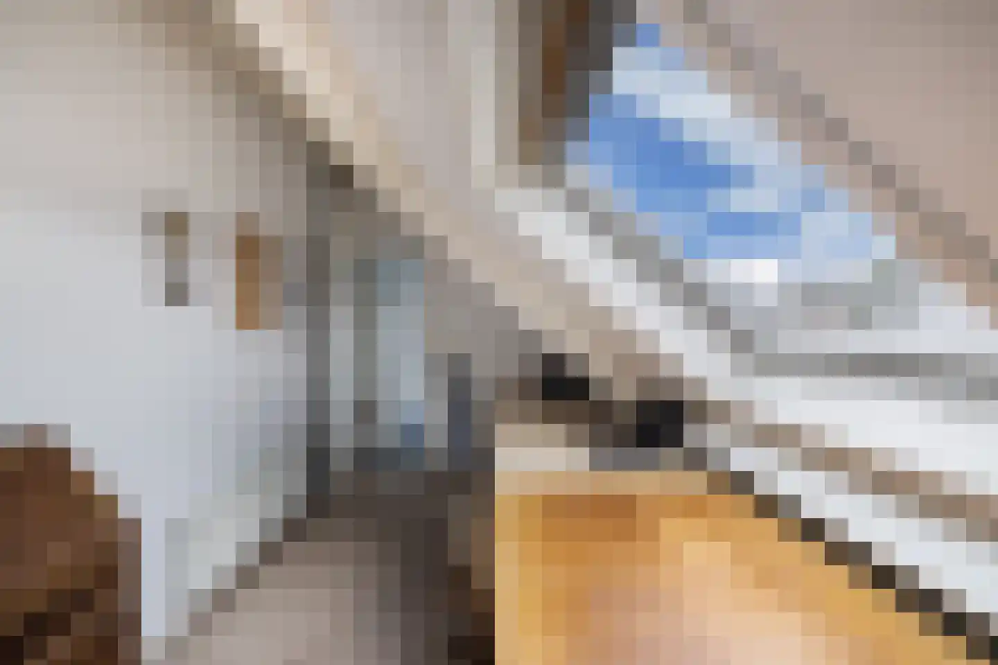 Rietpluim 8 Marknesse thumbnail 46