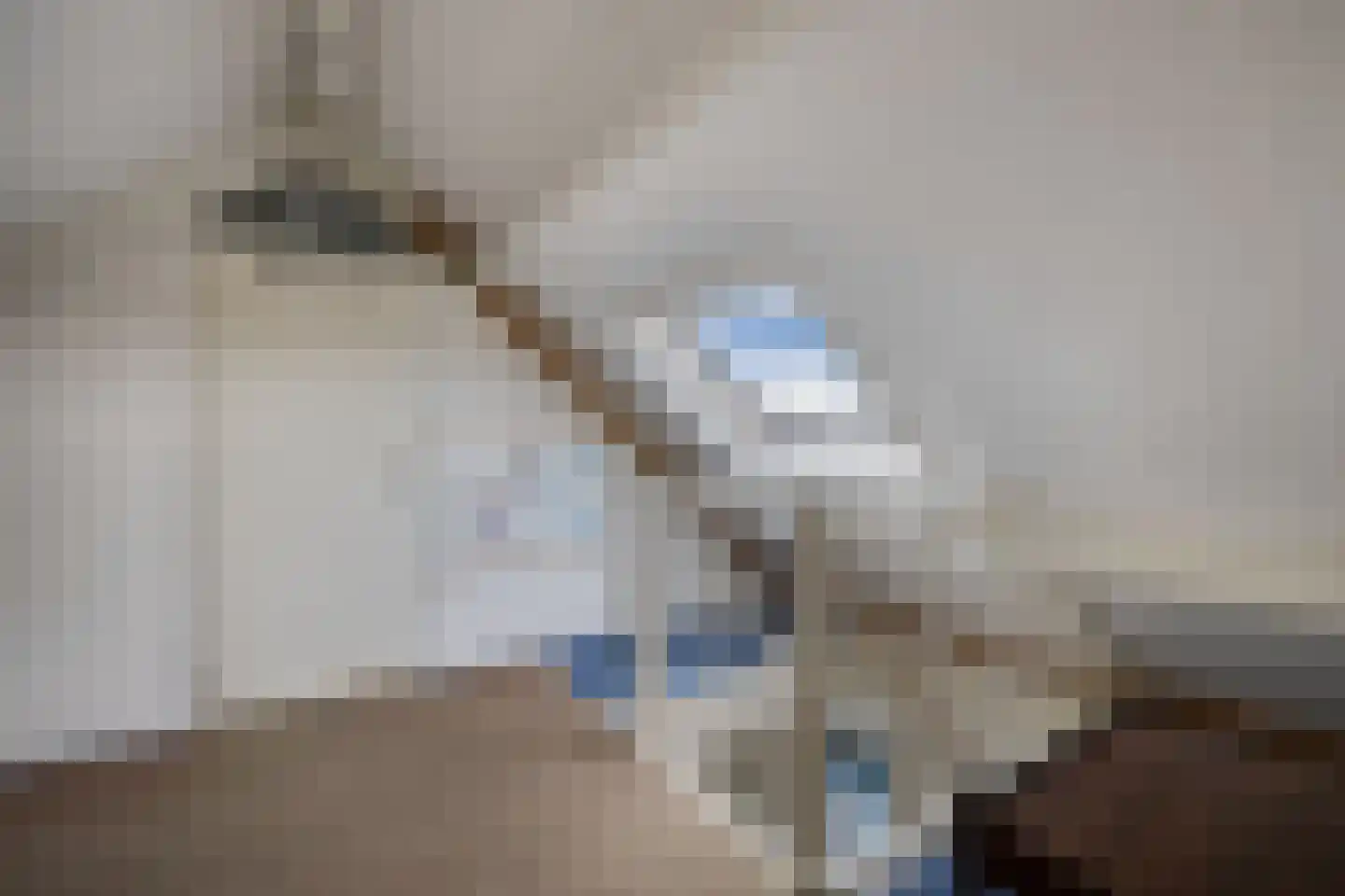 Rietpluim 8 Marknesse thumbnail 47