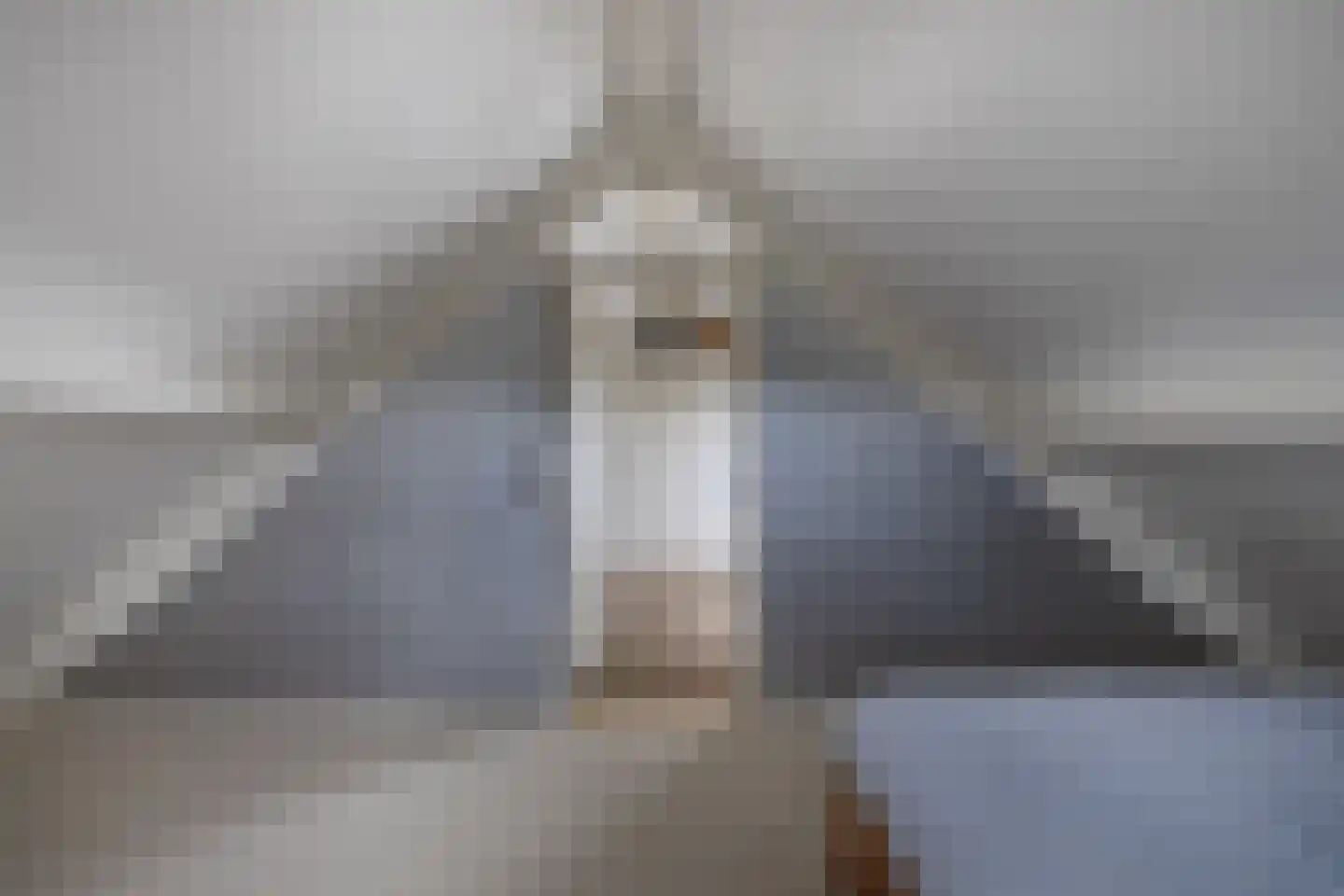 Rietpluim 8 Marknesse thumbnail 50