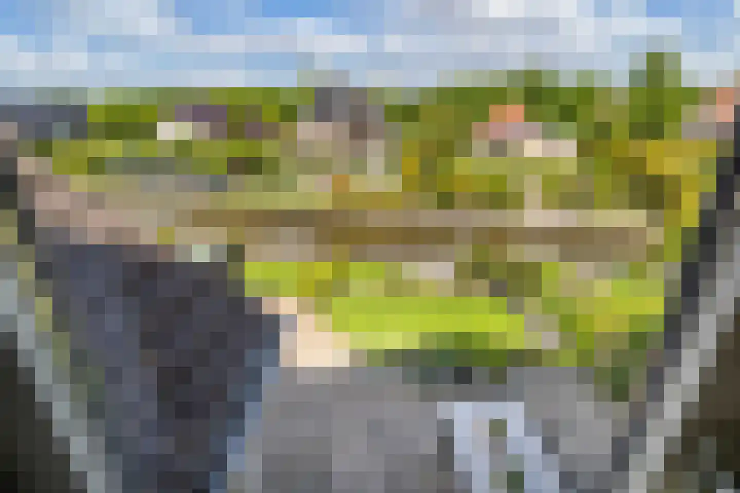 Rietpluim 8 Marknesse thumbnail 51