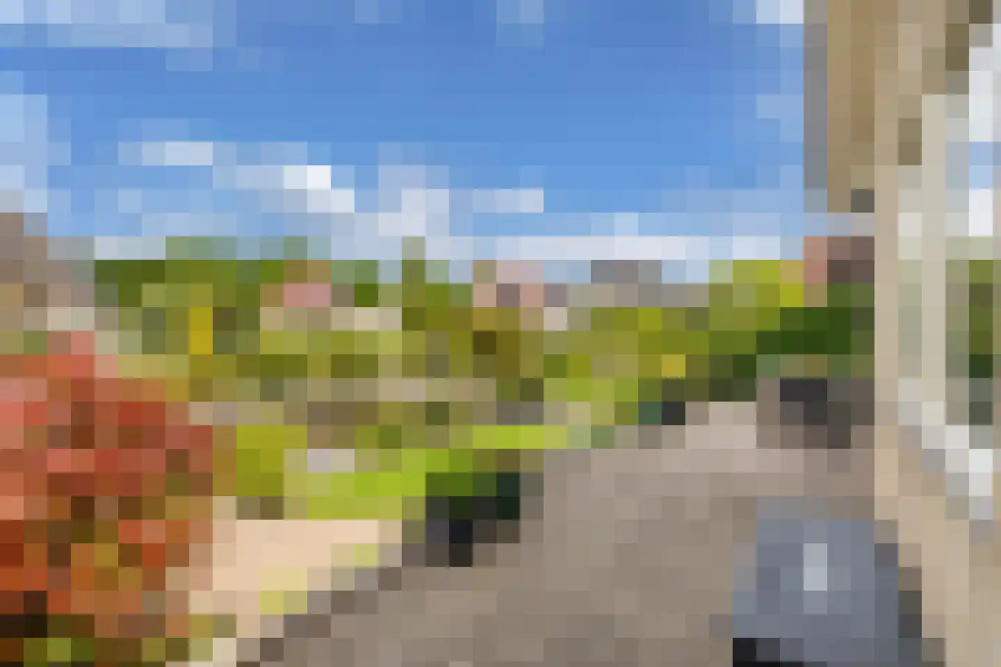 Rietpluim 8 Marknesse thumbnail 52