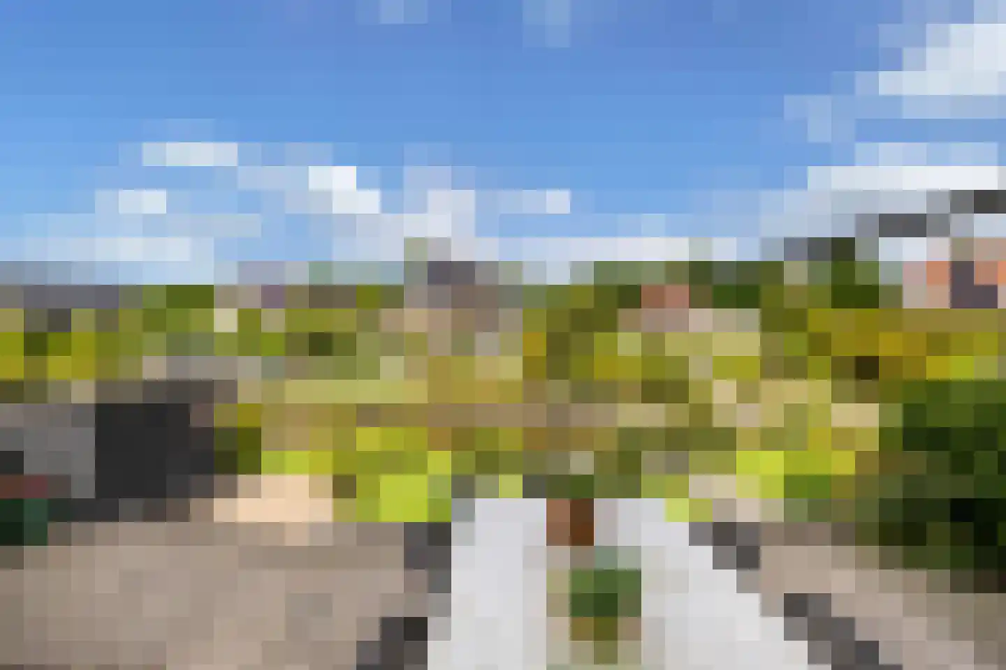 Rietpluim 8 Marknesse thumbnail 54