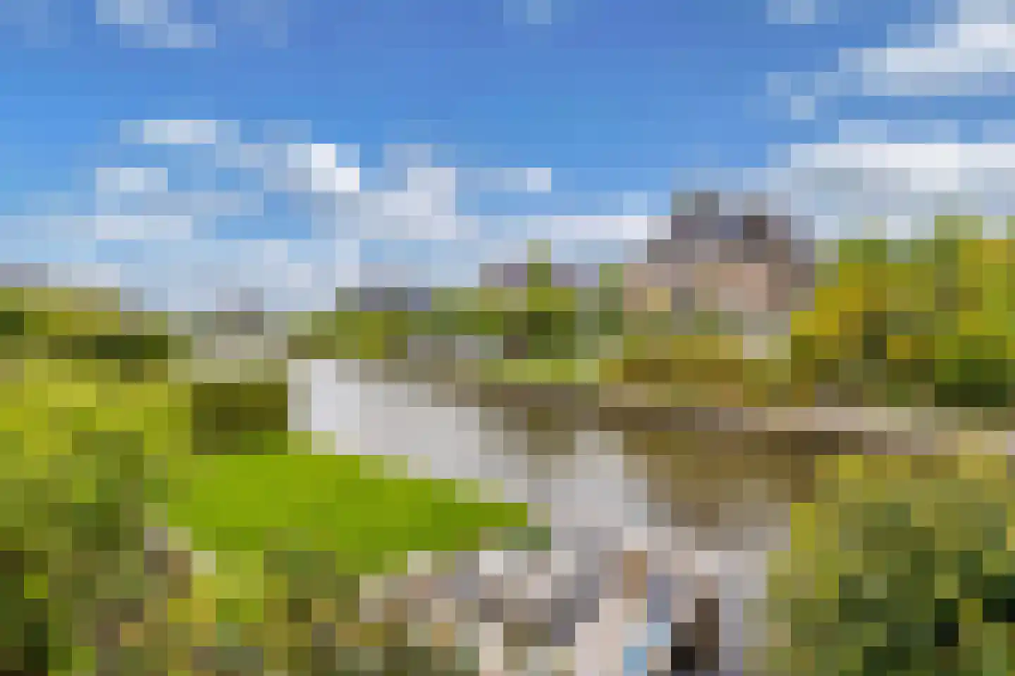 Rietpluim 8 Marknesse thumbnail 56