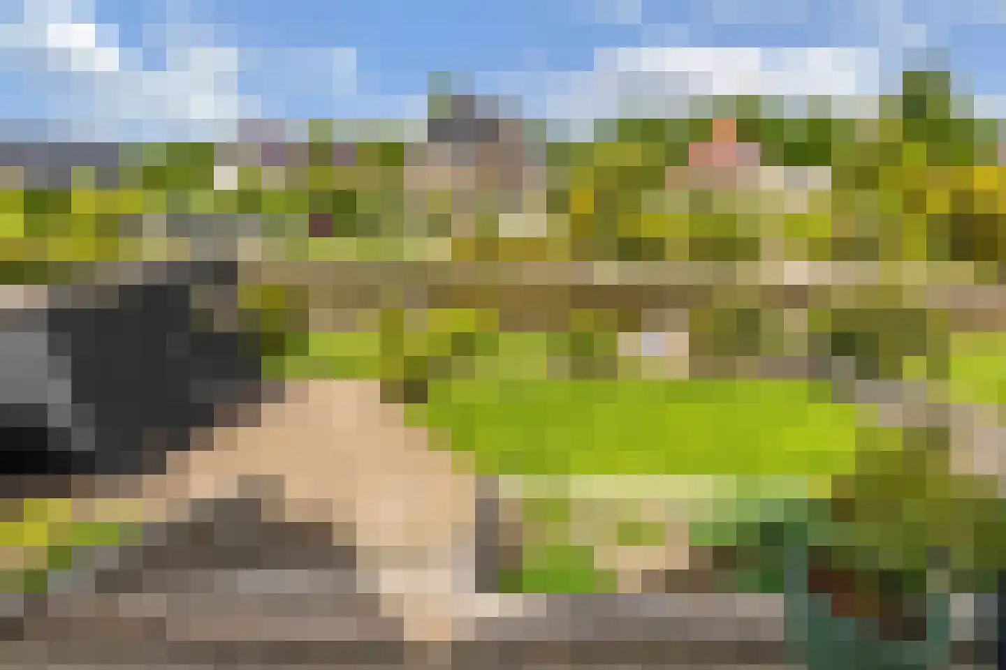 Rietpluim 8 Marknesse thumbnail 57