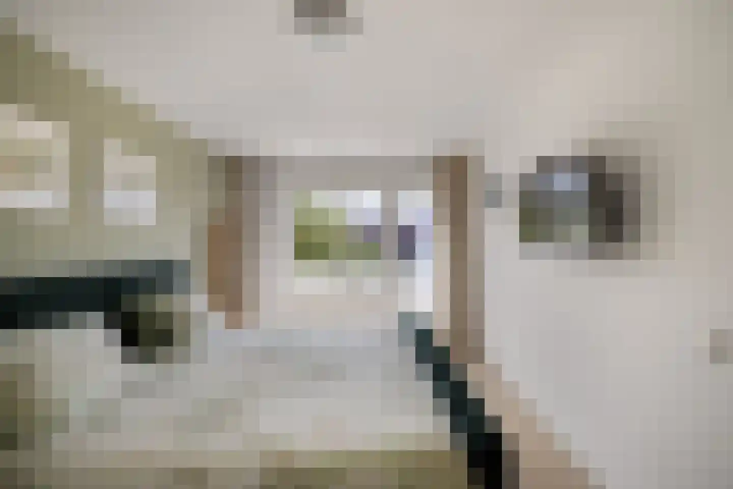 Rietpluim 8 Marknesse thumbnail 6