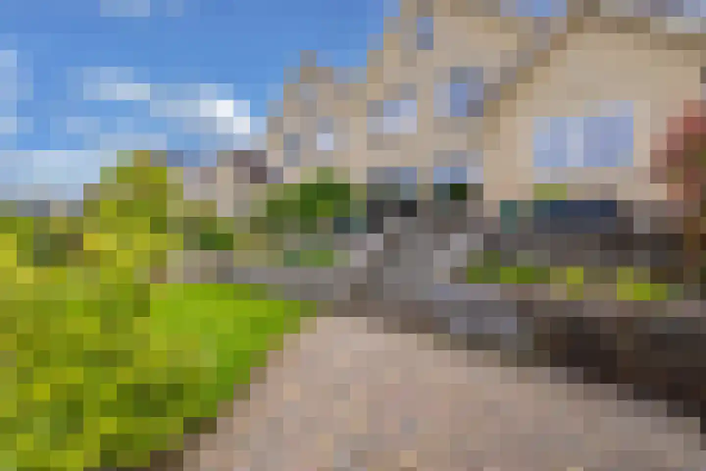 Rietpluim 8 Marknesse thumbnail 60
