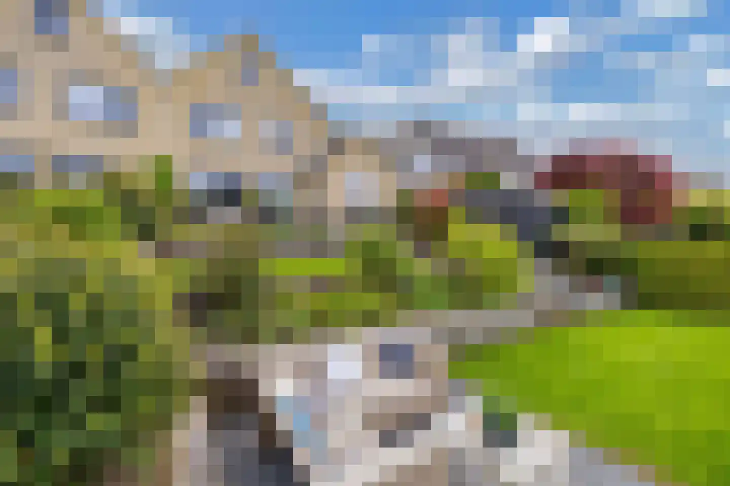 Rietpluim 8 Marknesse thumbnail 62