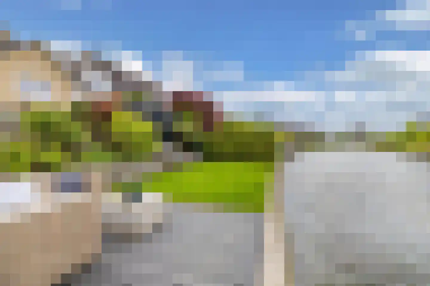 Rietpluim 8 Marknesse thumbnail 63