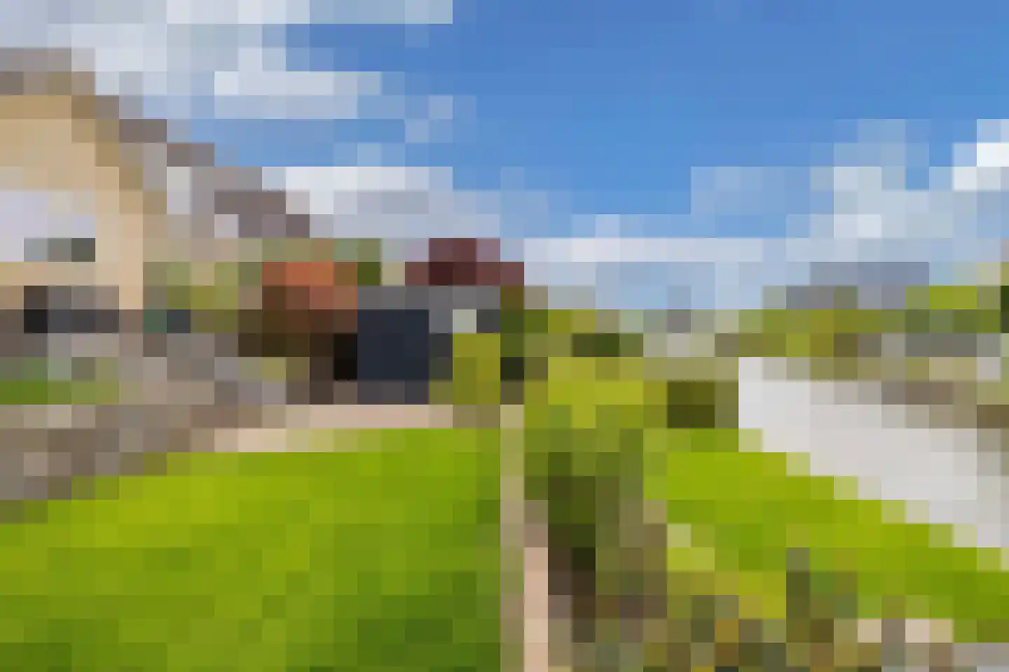 Rietpluim 8 Marknesse thumbnail 64