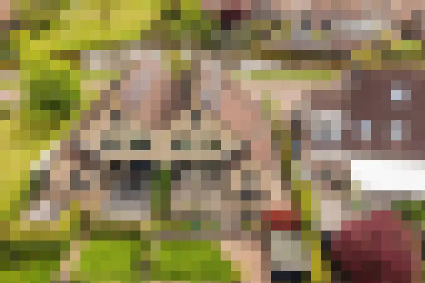 Rietpluim 8 Marknesse thumbnail 65