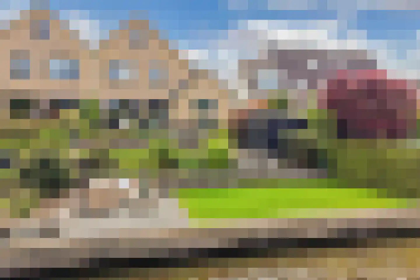 Rietpluim 8 Marknesse thumbnail 66