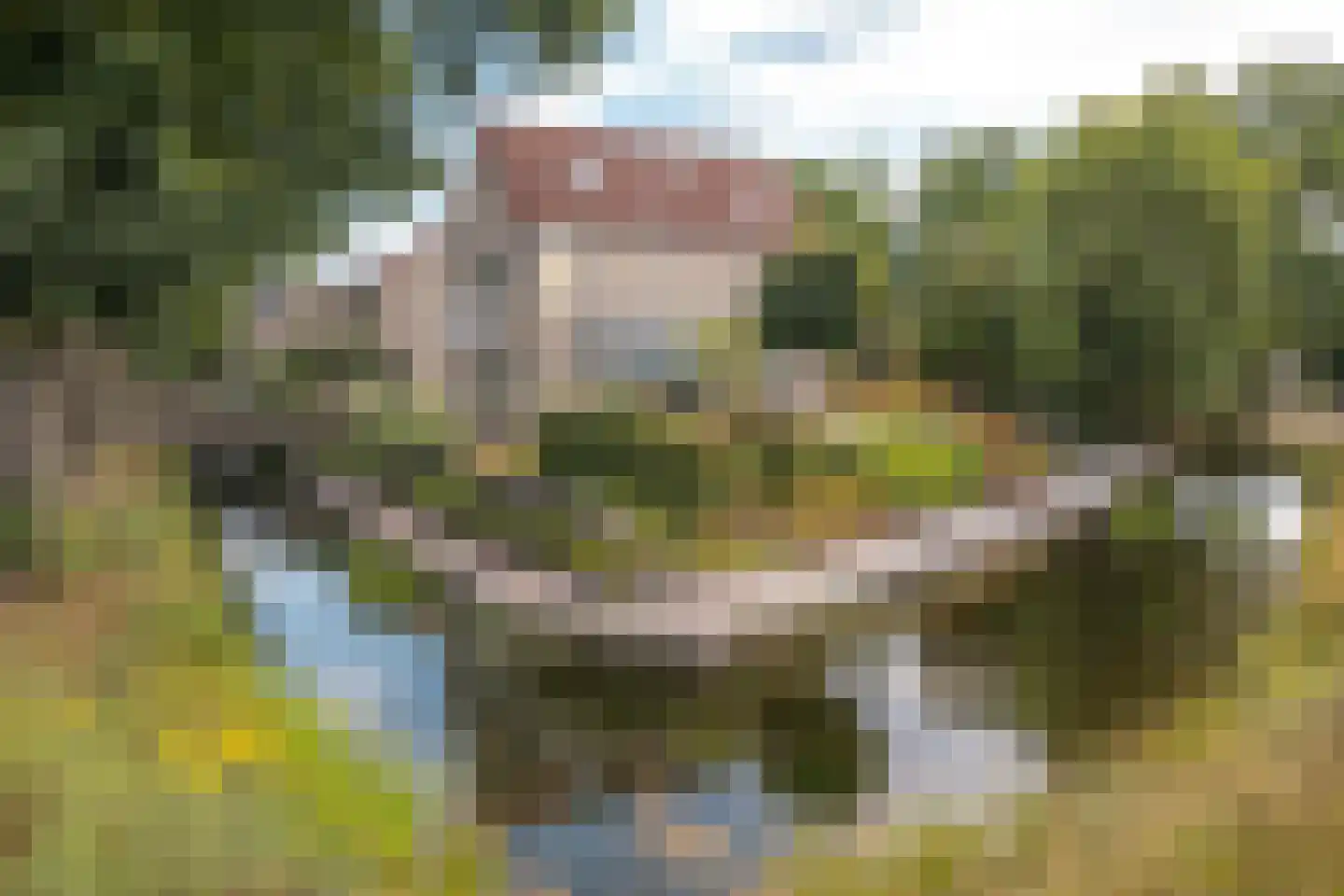 Rietpol 24 Drachten thumbnail 12