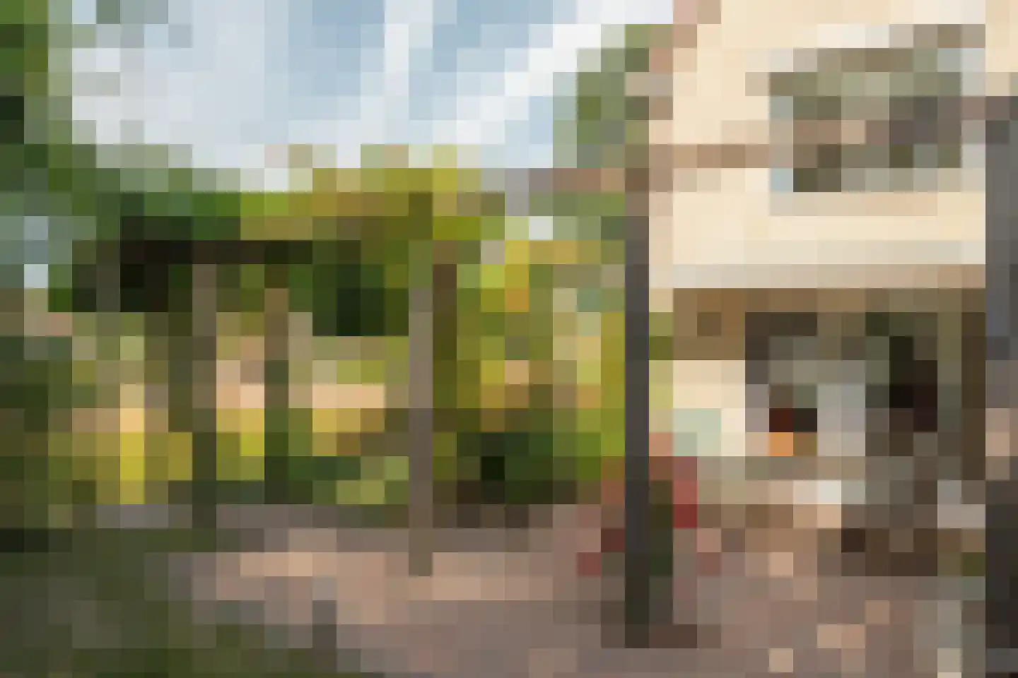 Rietpol 24 Drachten thumbnail 13