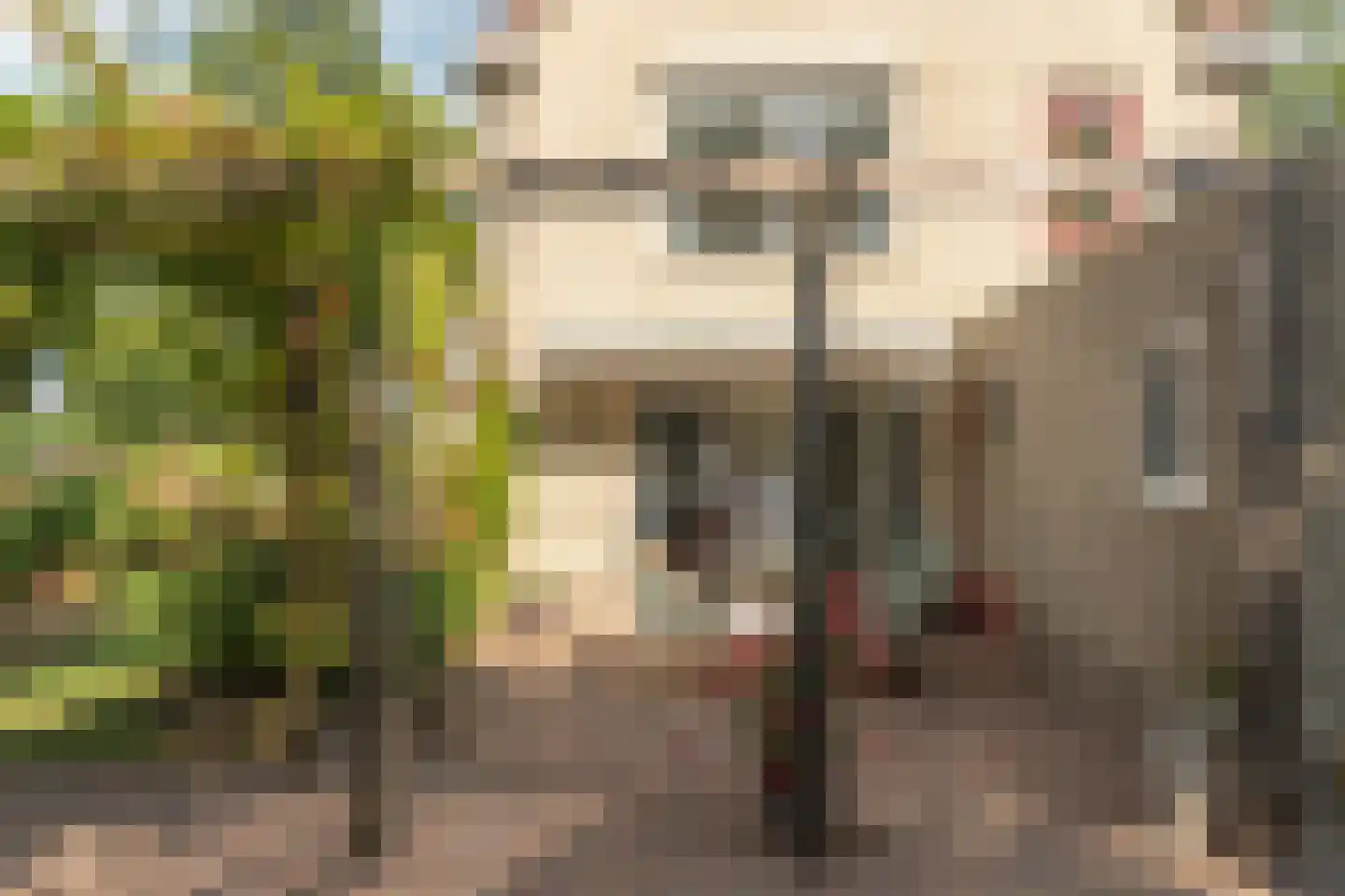 Rietpol 24 Drachten thumbnail 14