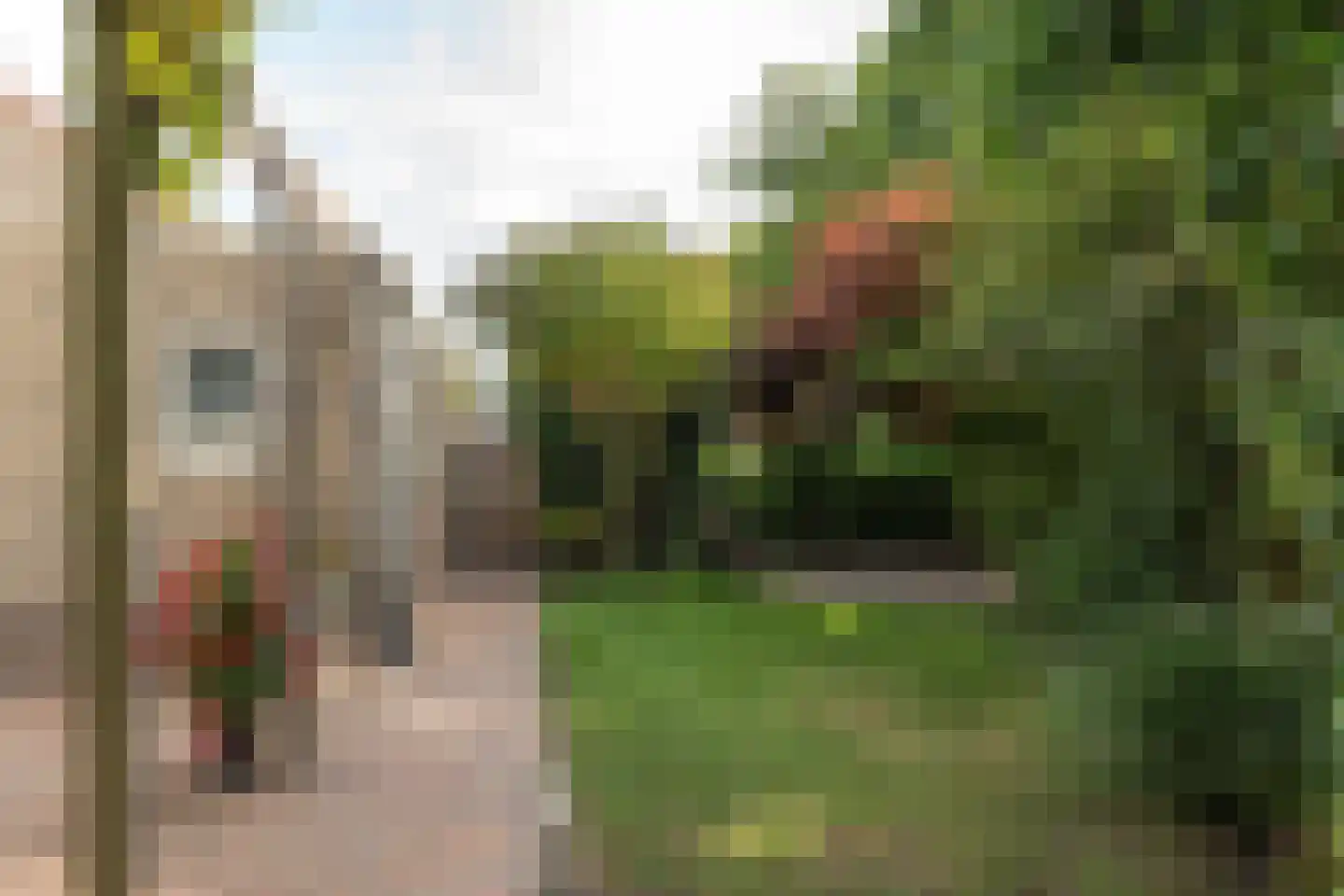Rietpol 24 Drachten thumbnail 15