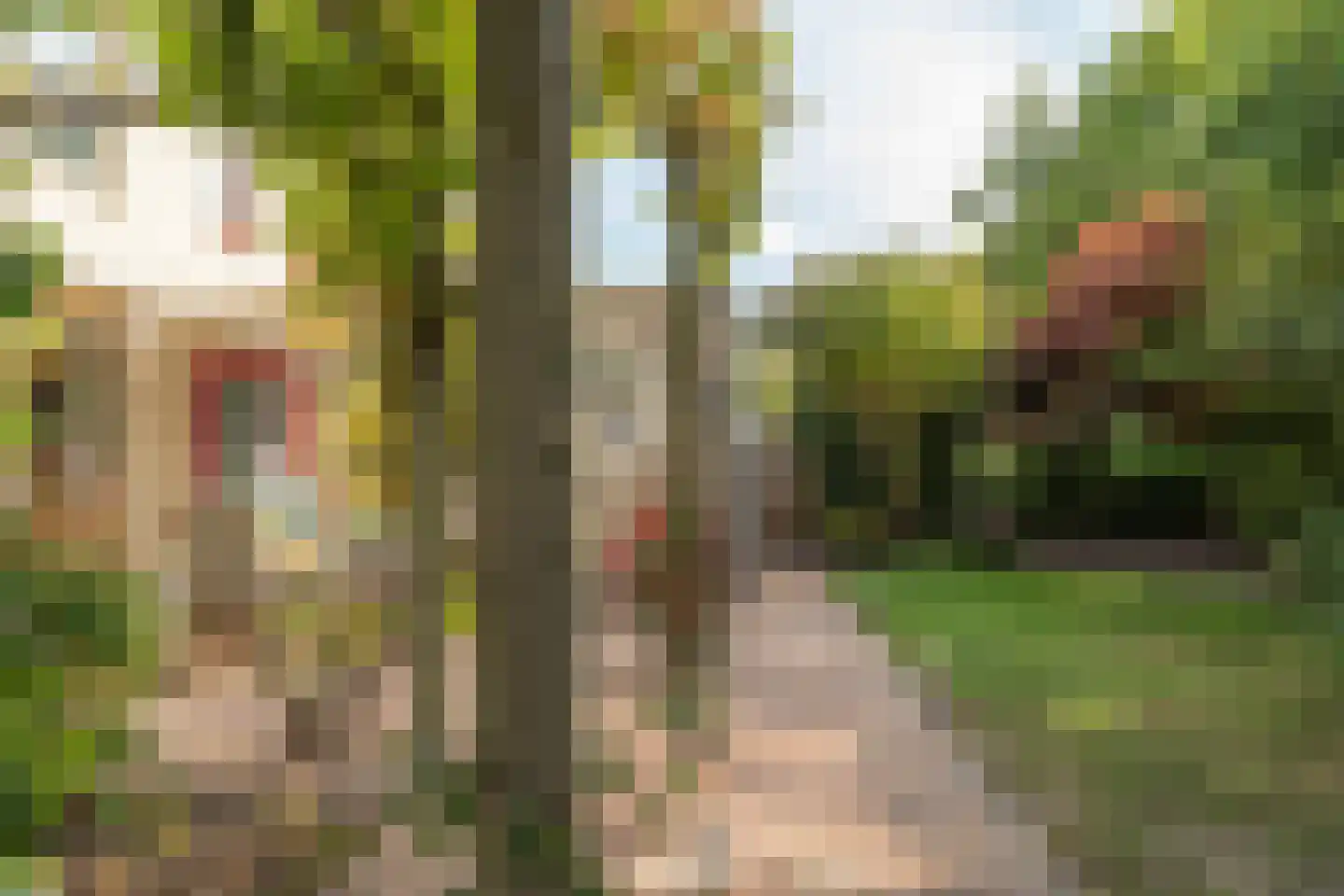 Rietpol 24 Drachten thumbnail 17