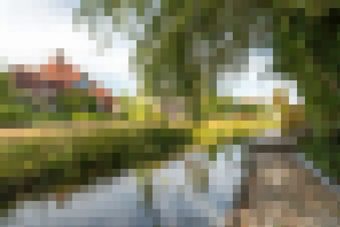 Rietpol 24 Drachten thumbnail 19