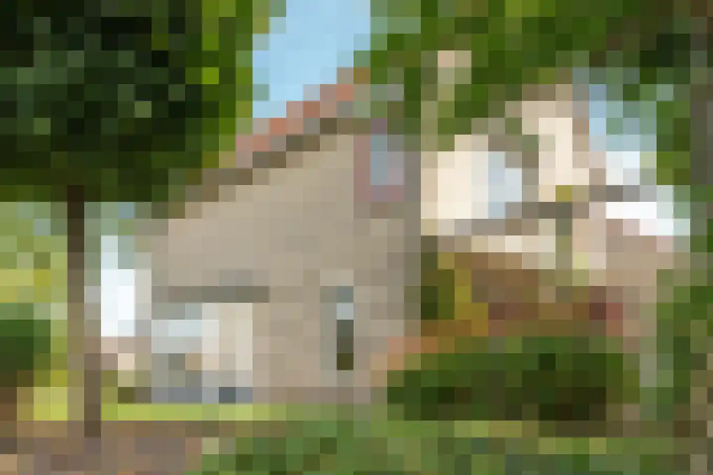 Rietpol 24 Drachten thumbnail 21
