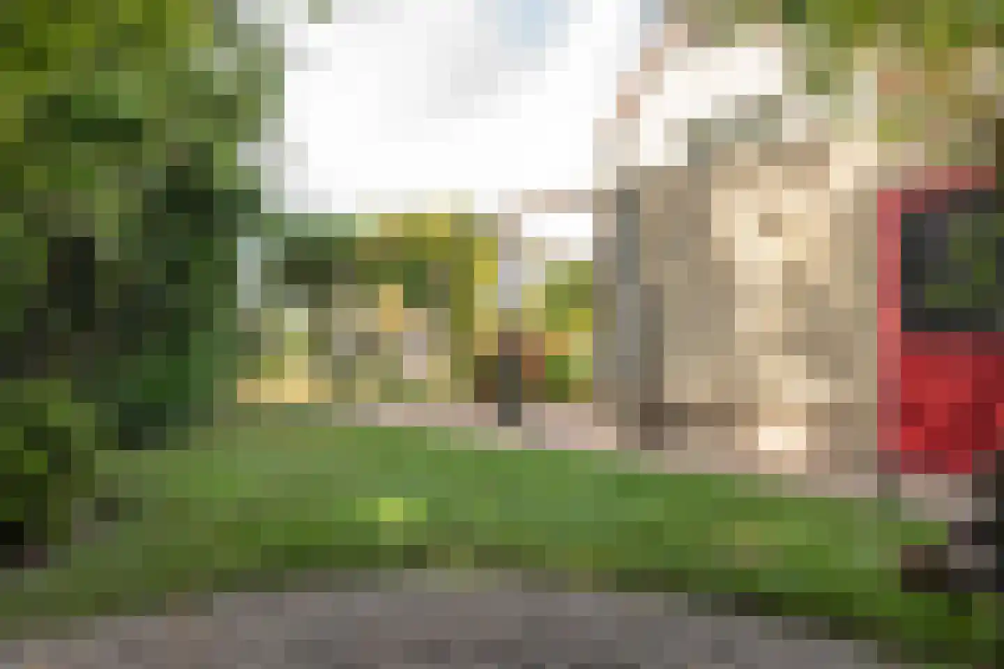 Rietpol 24 Drachten thumbnail 22