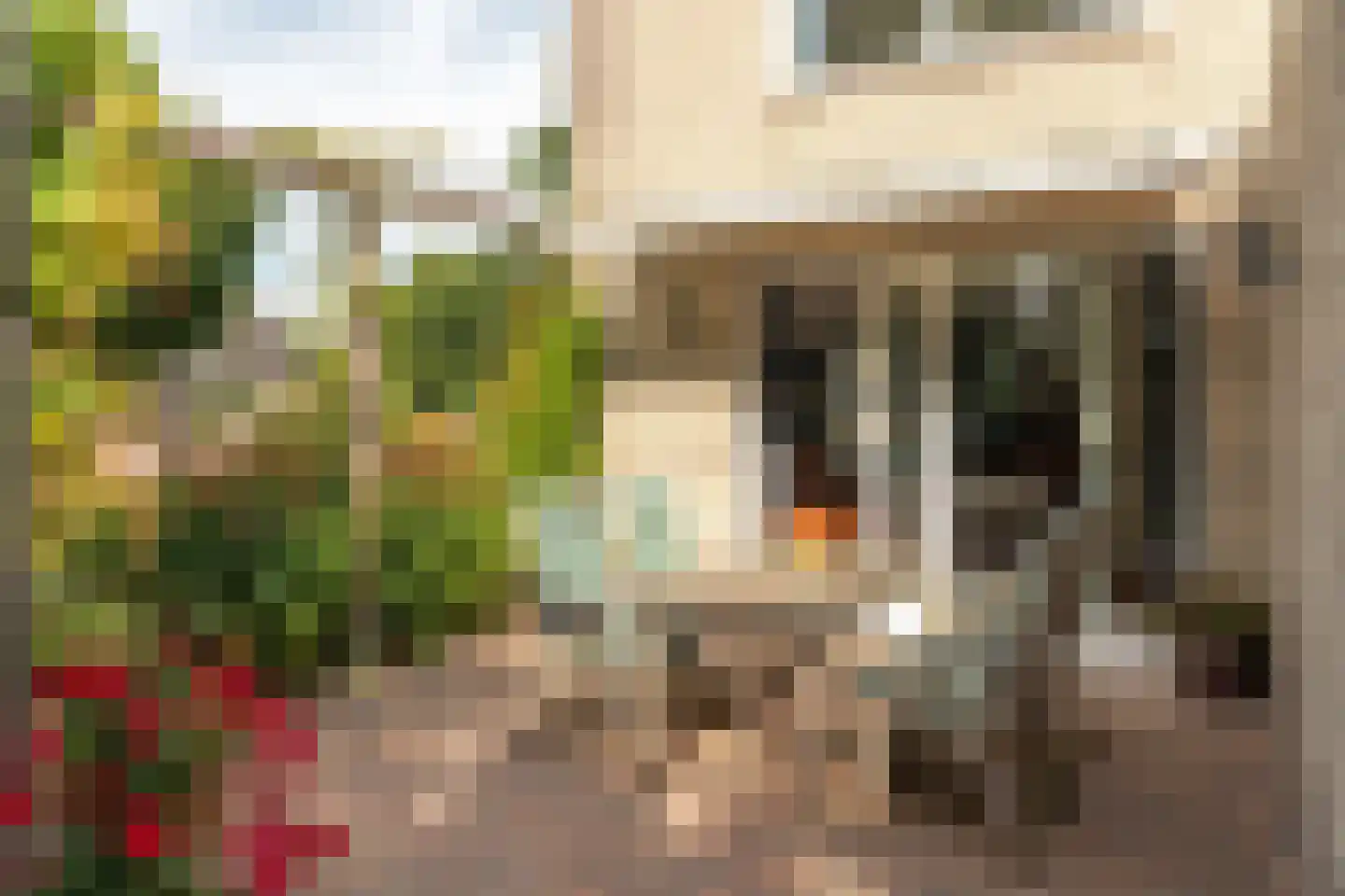 Rietpol 24 Drachten thumbnail 23