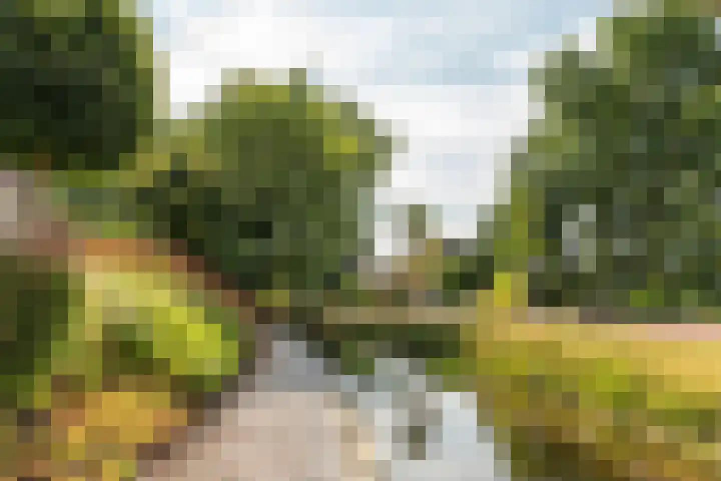 Rietpol 24 Drachten thumbnail 24