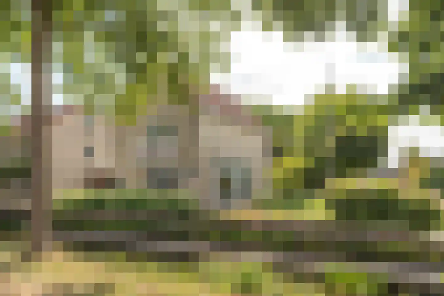 Rietpol 24 Drachten thumbnail 5