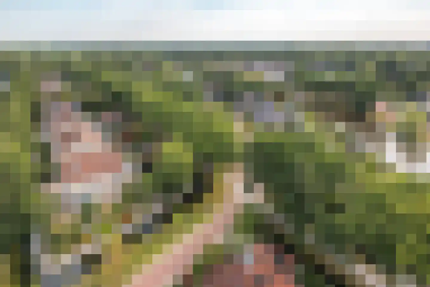 Rietpol 24 Drachten thumbnail 8