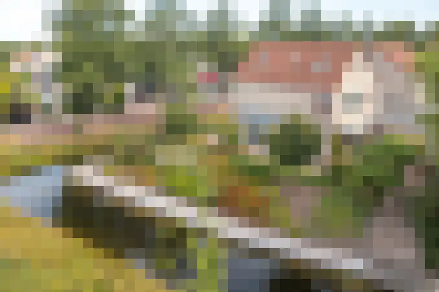 Rietpol 24 Drachten thumbnail 9