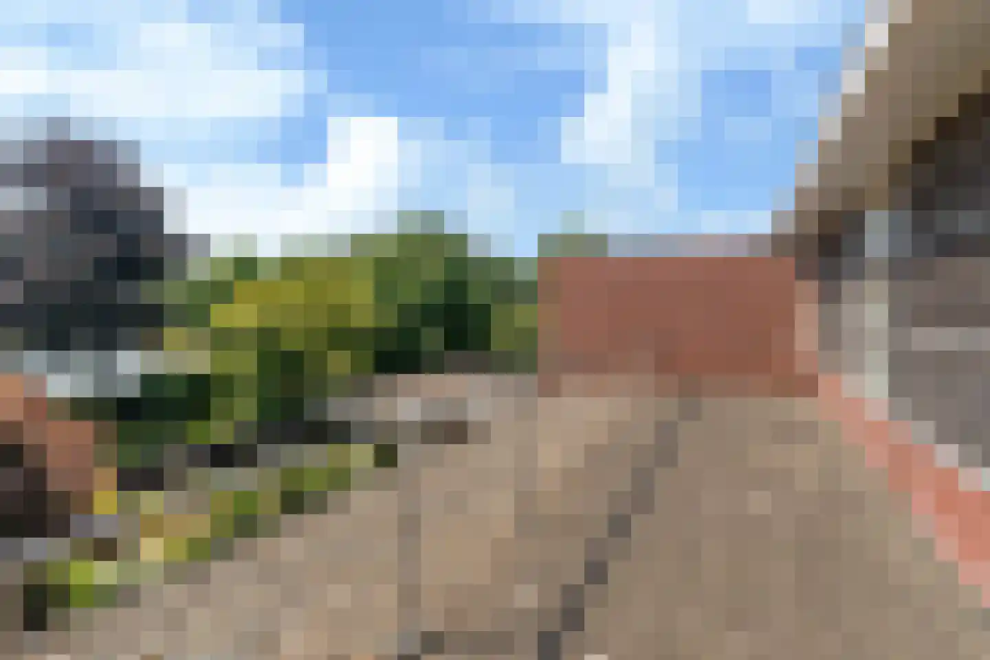 Rietpol 37 Drachten thumbnail 47
