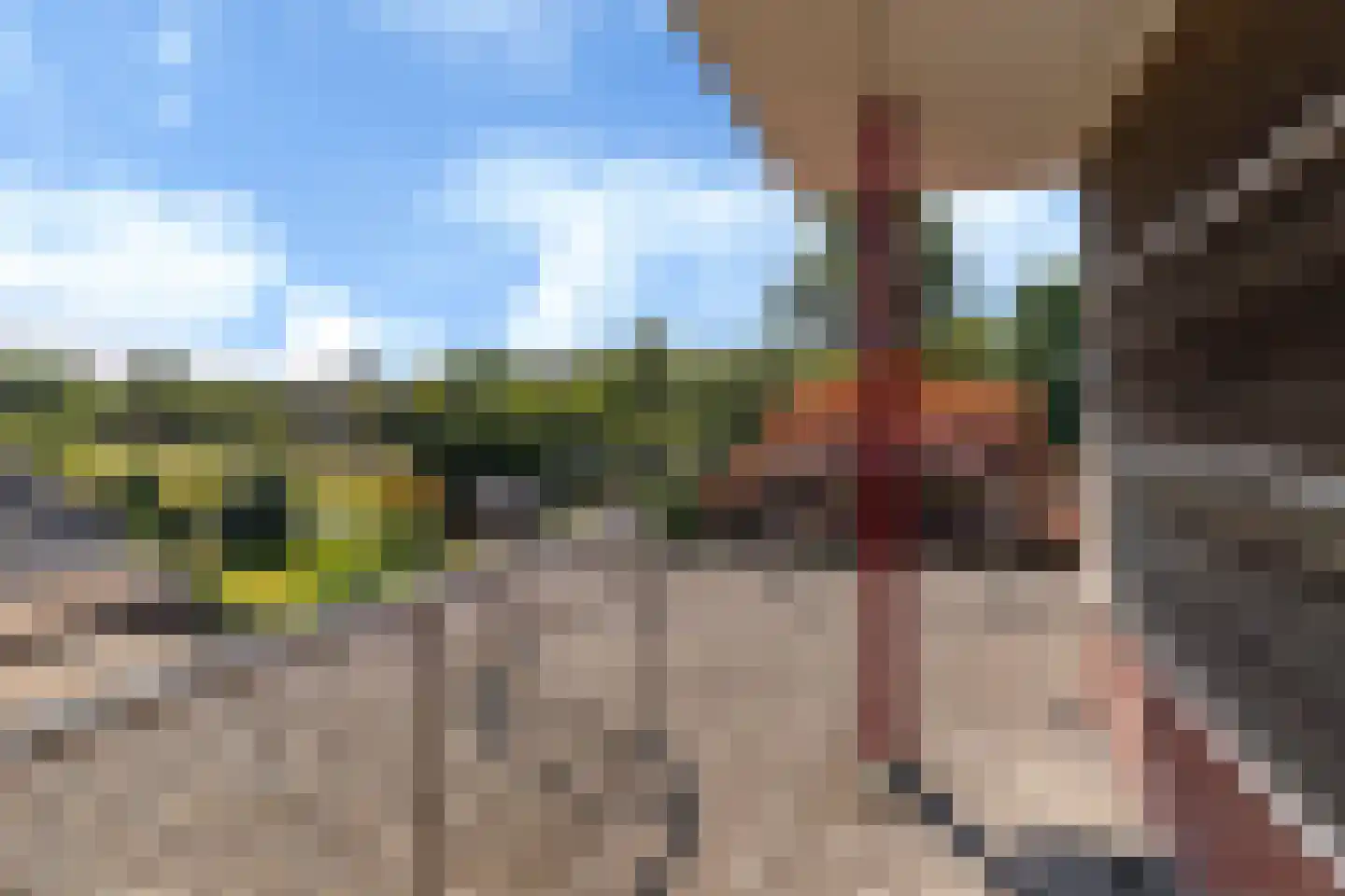 Rietpol 37 Drachten thumbnail 48