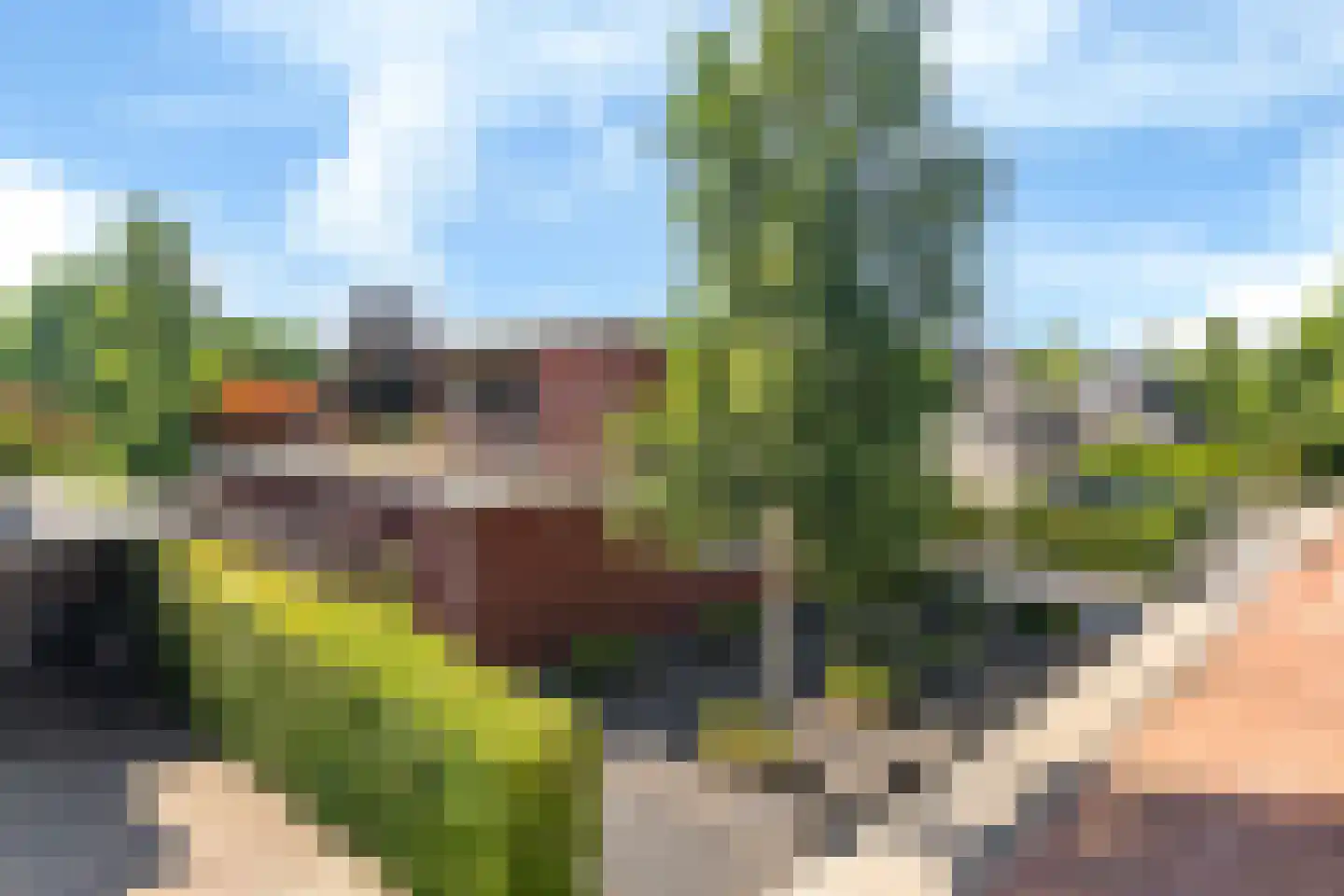 Rietpol 37 Drachten thumbnail 5