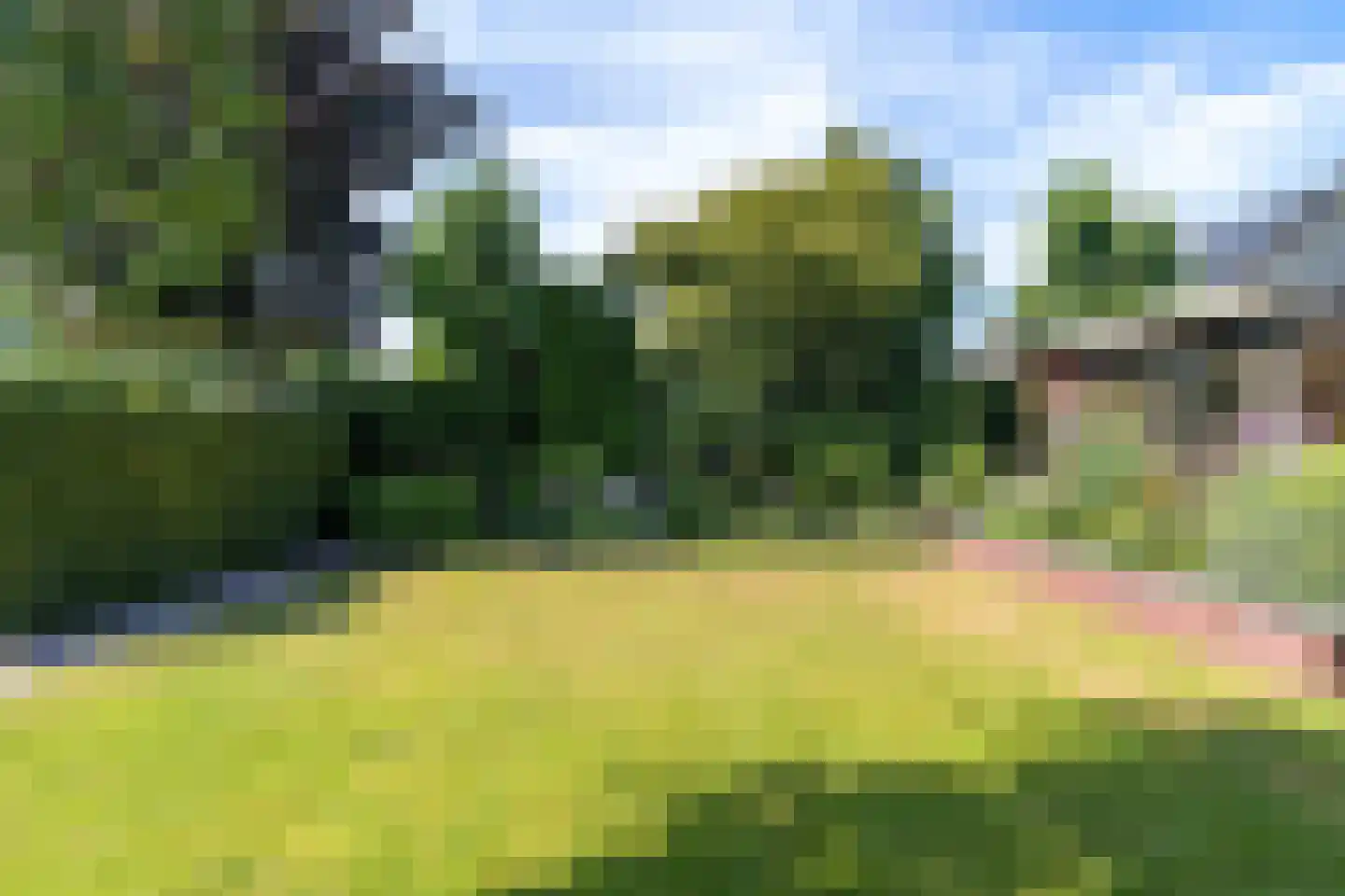 Rietpol 37 Drachten thumbnail 60