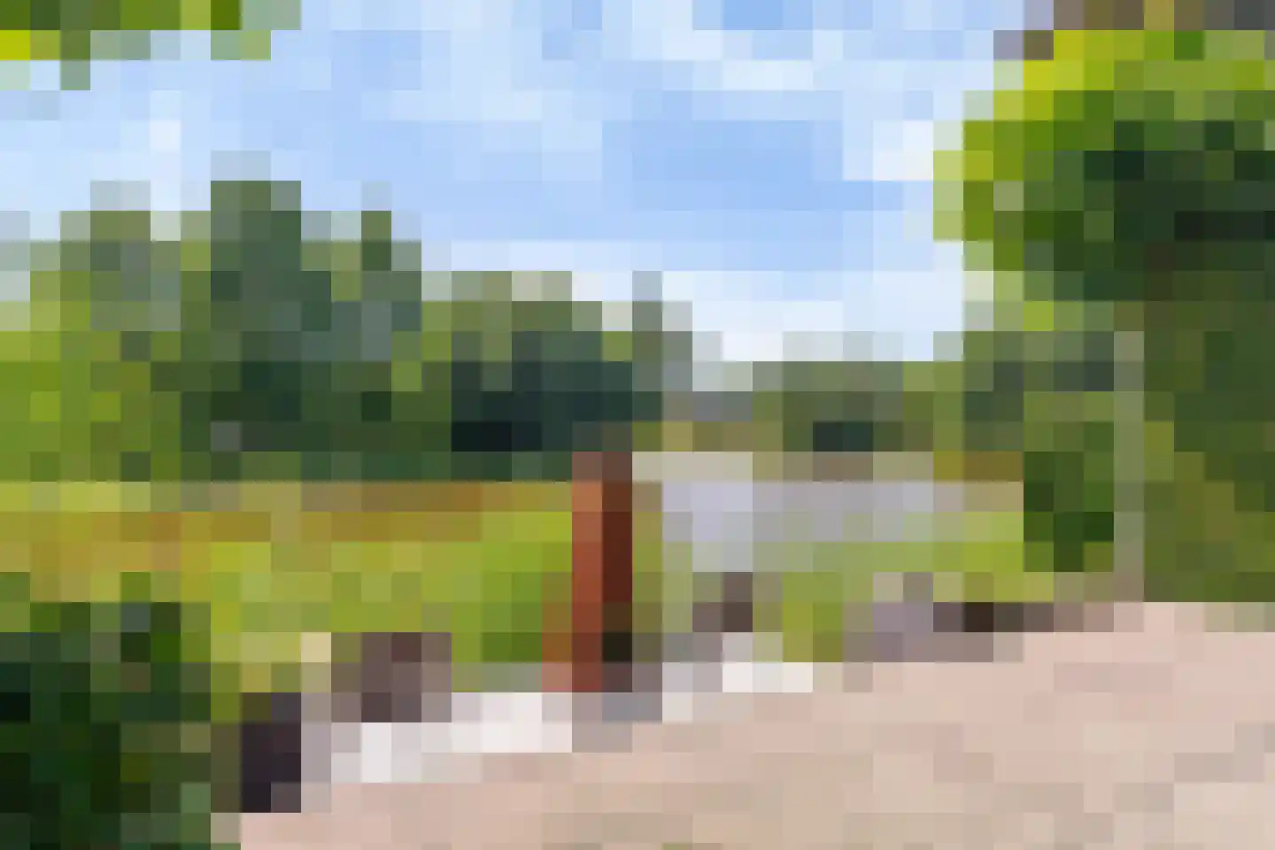 Rietpol 37 Drachten thumbnail 61