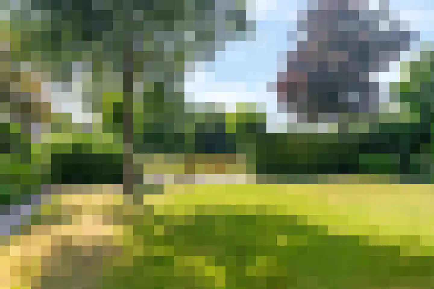 Rietpol 37 Drachten thumbnail 63