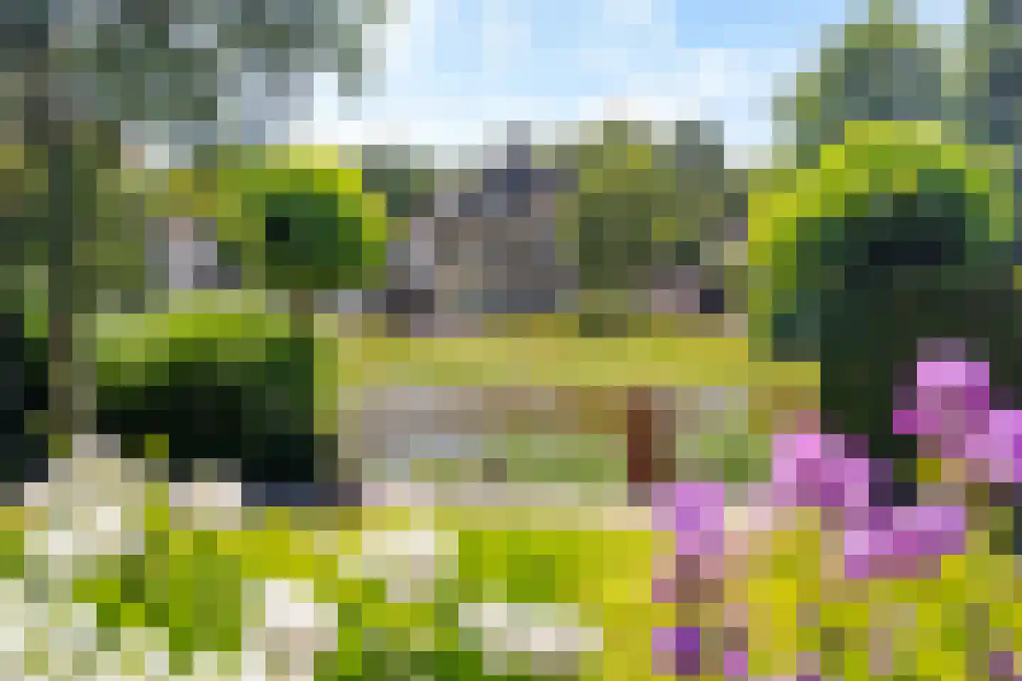 Rietpol 37 Drachten thumbnail 64