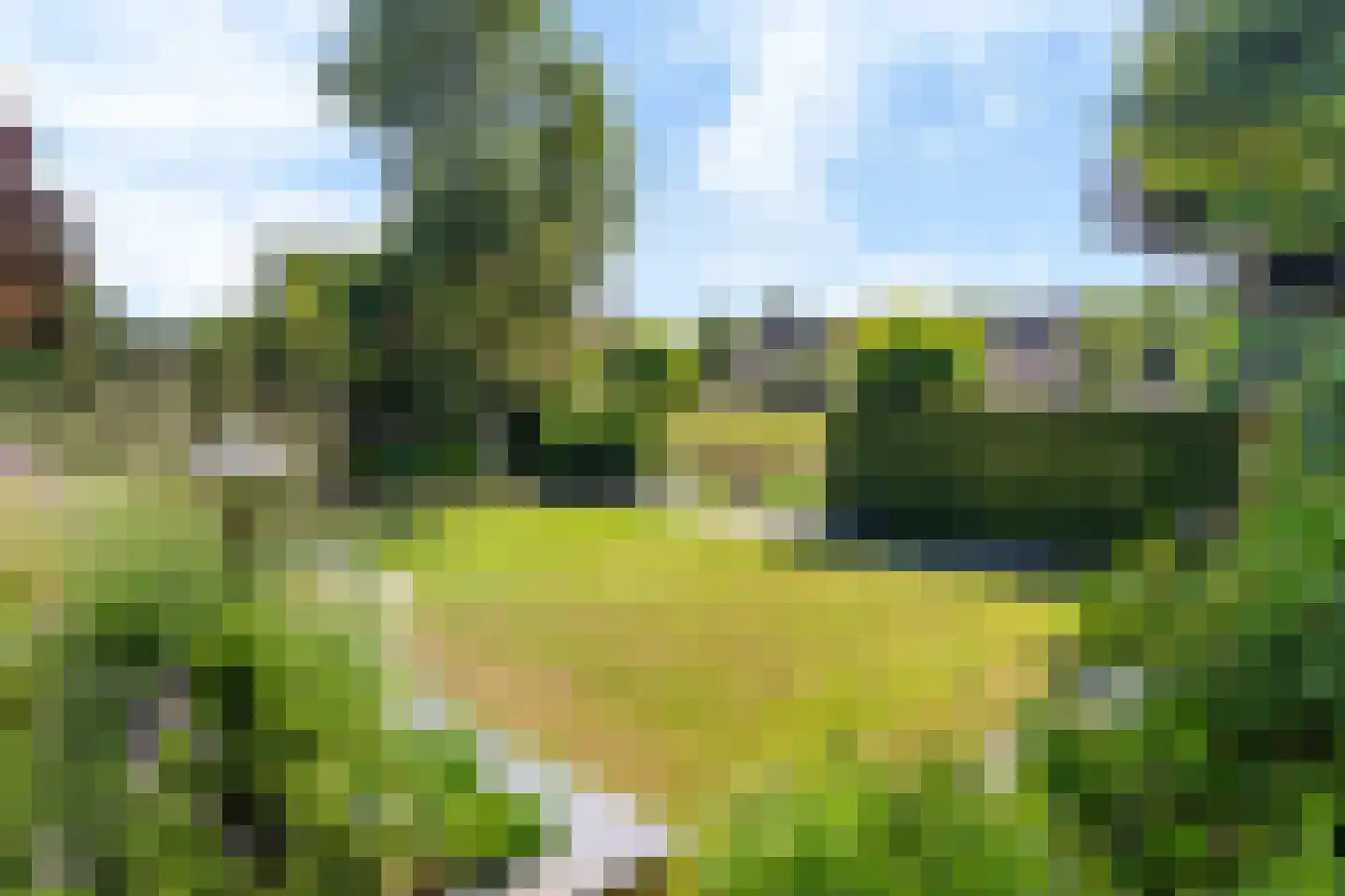Rietpol 37 Drachten thumbnail 7