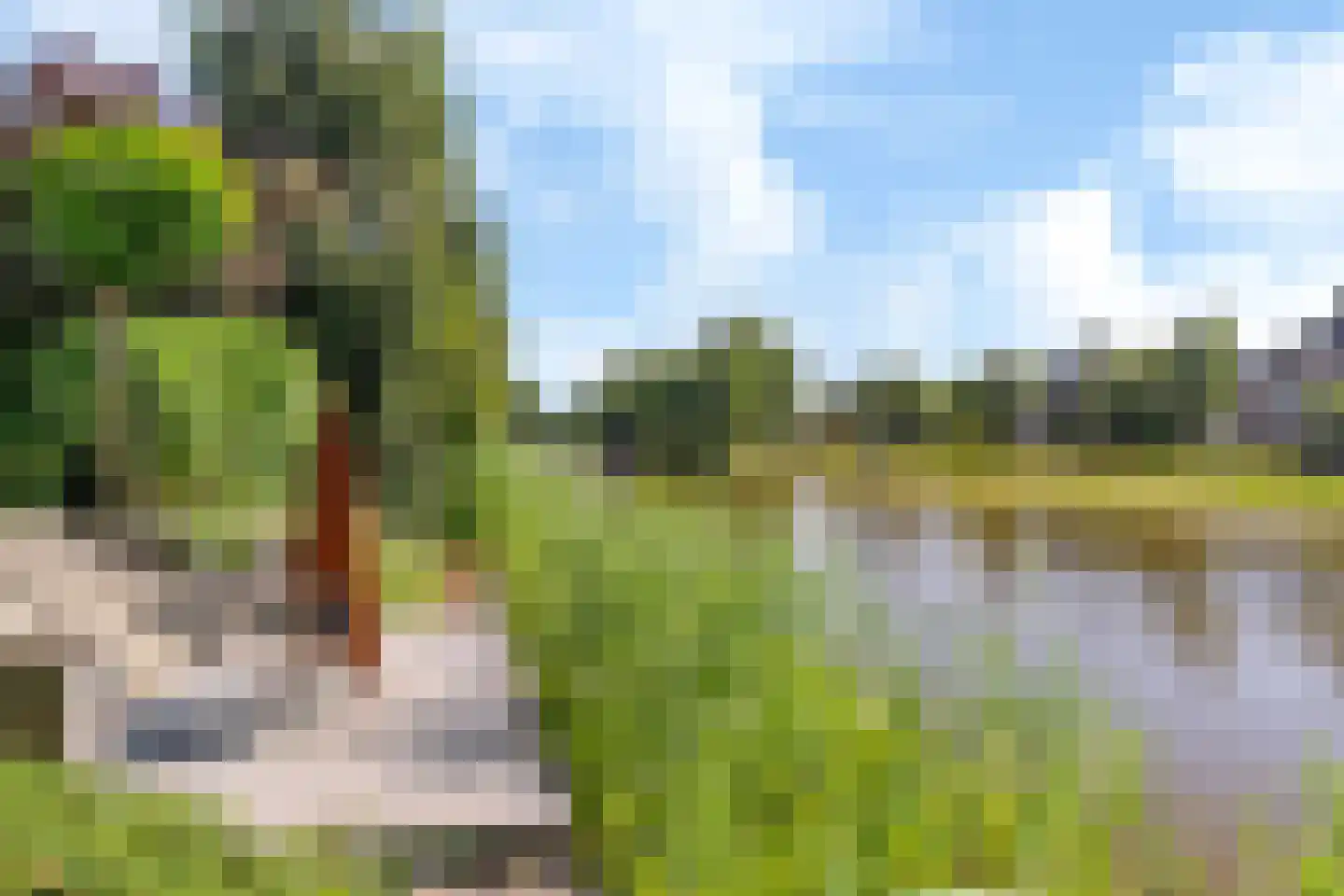 Rietpol 37 Drachten thumbnail 8