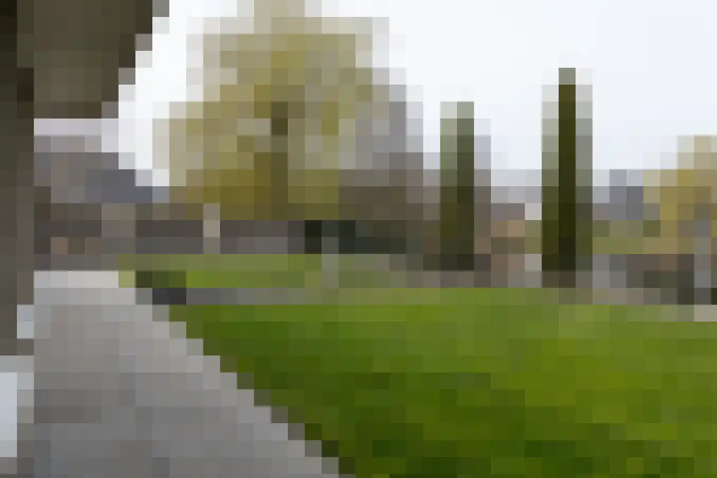 Rietpol 43 Drachten thumbnail 37