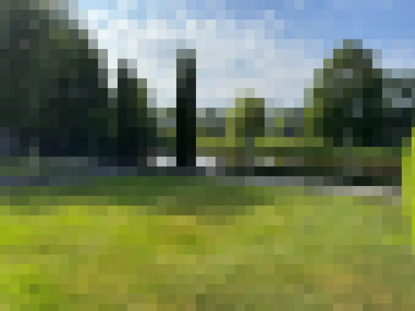 Rietpol 43 Drachten thumbnail 41