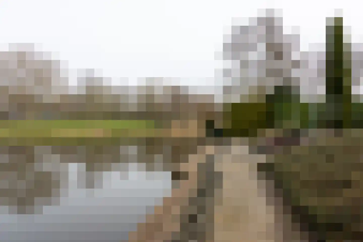 Rietpol 43 Drachten thumbnail 43