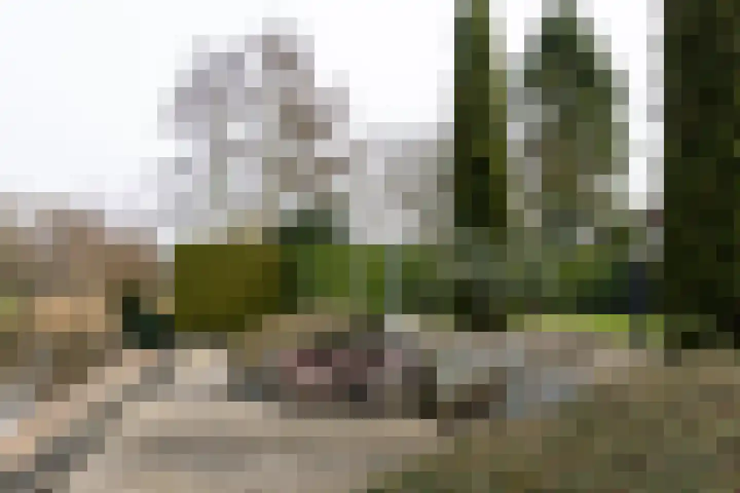 Rietpol 43 Drachten thumbnail 44