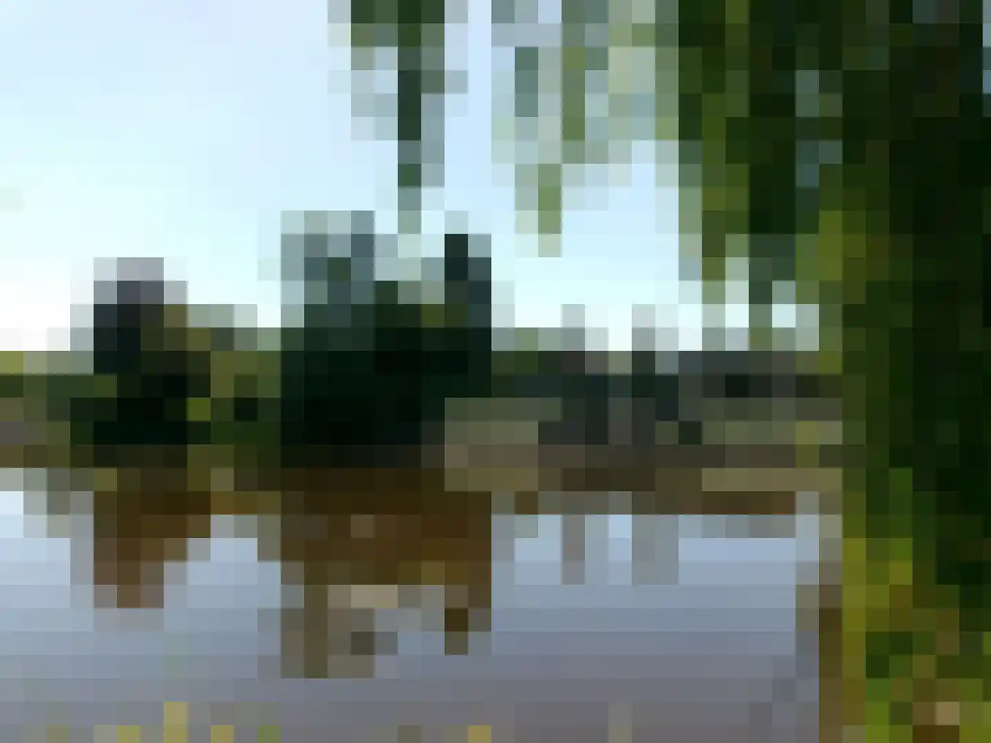 Rietpol 43 Drachten thumbnail 44
