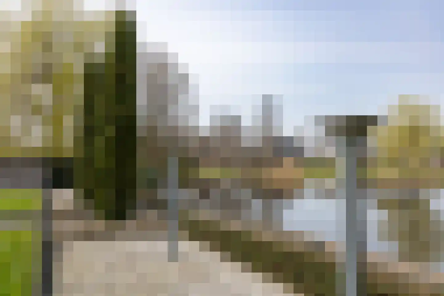 Rietpol 43 Drachten thumbnail 45