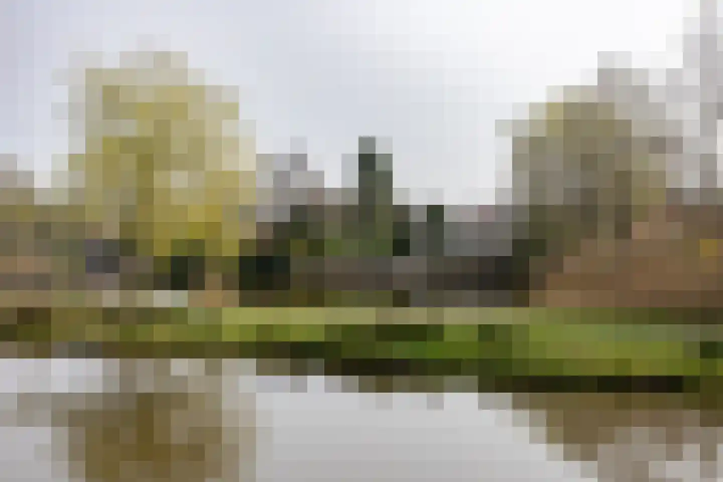 Rietpol 43 Drachten thumbnail 46