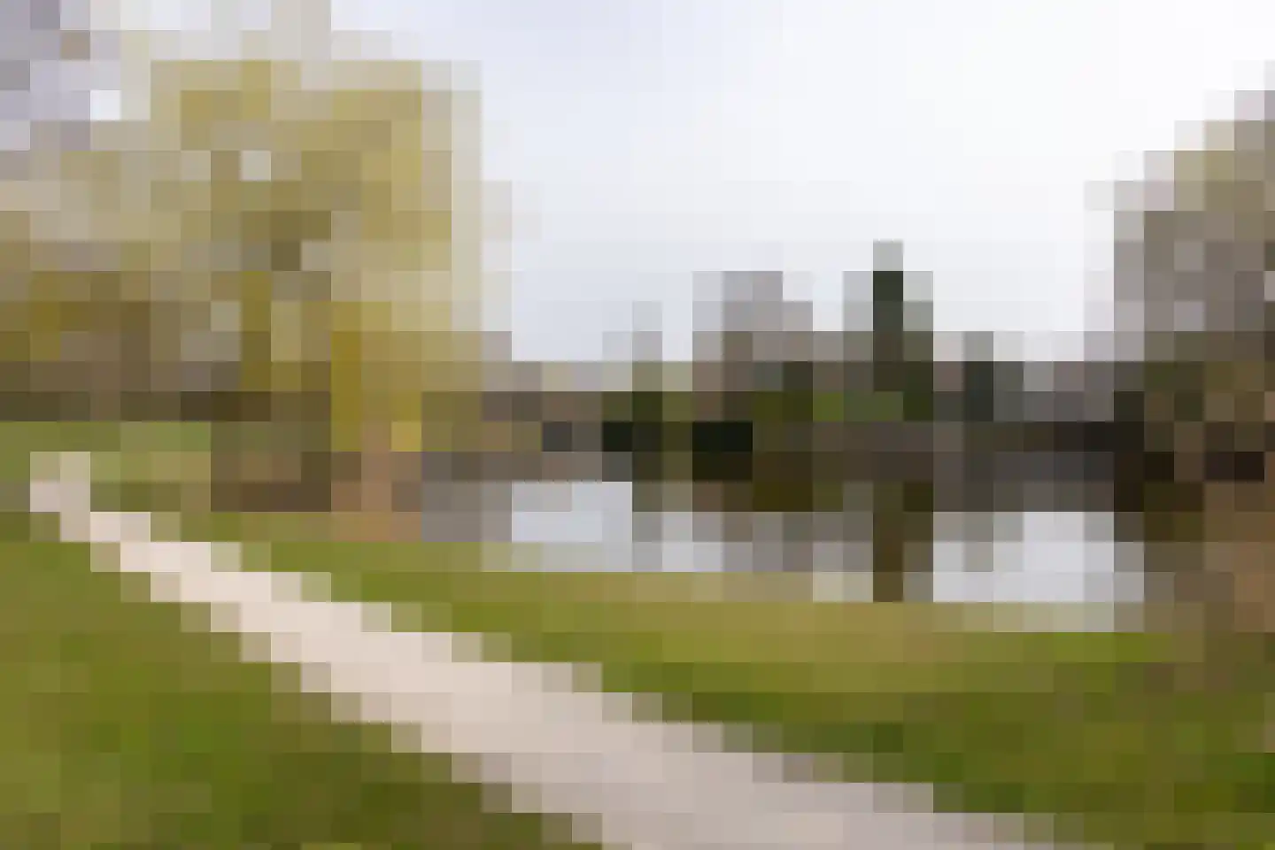 Rietpol 43 Drachten thumbnail 47