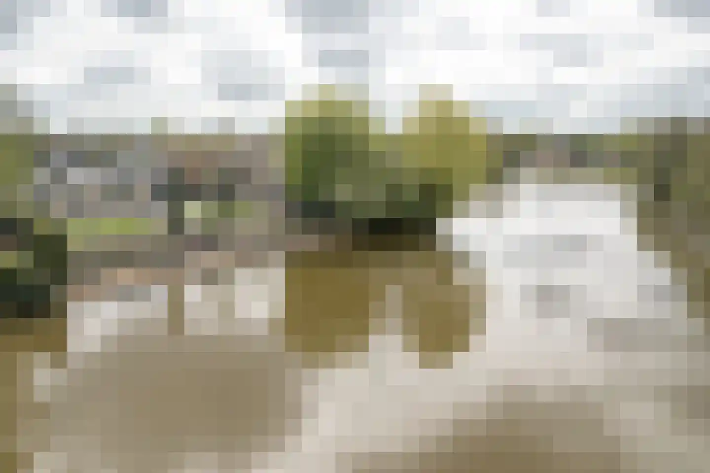 Rietpol 43 Drachten thumbnail 48
