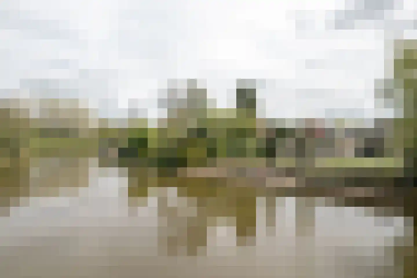 Rietpol 43 Drachten thumbnail 49